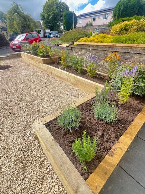 Timber Flower beds with various plants, in a Cotswold gravel garden Timber Flower beds with various plants, in a Cotswold gravel garden.