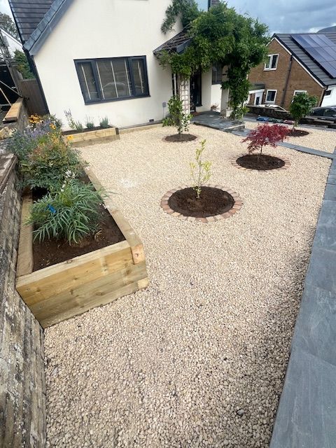 Planted with Magnolia, Acer & Camellia & a range of shrubs & flowers. Finished with cotswold gravel and circles edged with setts A landscaped garden featuring gravel, plant beds, and a small tree.